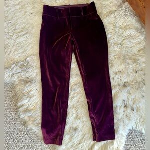 Alice + Olivia Velvet Pants in Burgundy